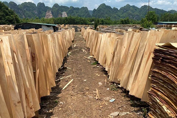 Cắt gỗ thành lớp mỏng