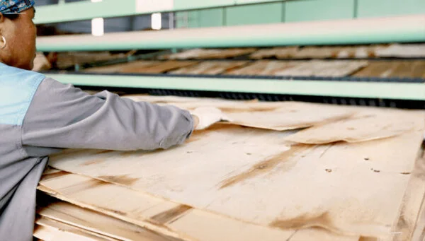 Công nhân đang cắt ván lạng