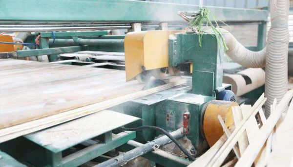 Cắt và hoàn thiện sản phẩm