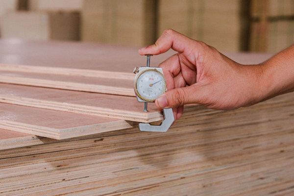 Kiểm tra chất lượng