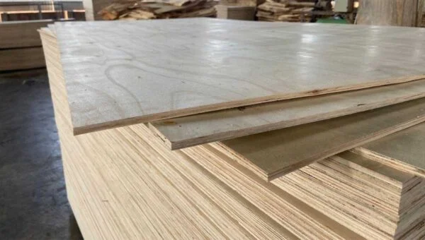 Gỗ ép cốt bồ đề